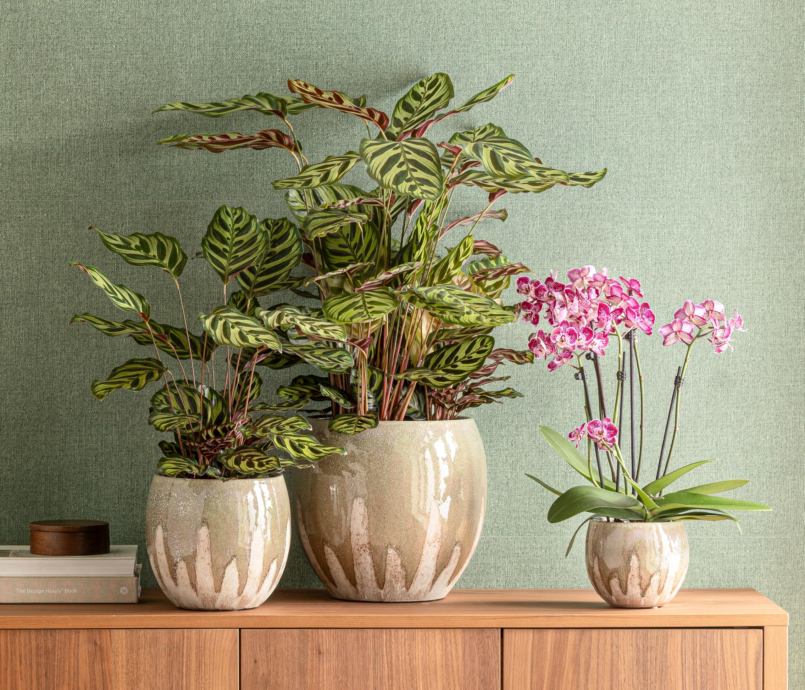 Dehner Übertopf Joulie Duo, grün/creme, Ø 34 cm/innen 29 cm, Höhe 34 cm | bauchiger Indoor Blumentopf, Keramik, glasierte/matte Oberfläche mit Farbverlauf, handgefertigt