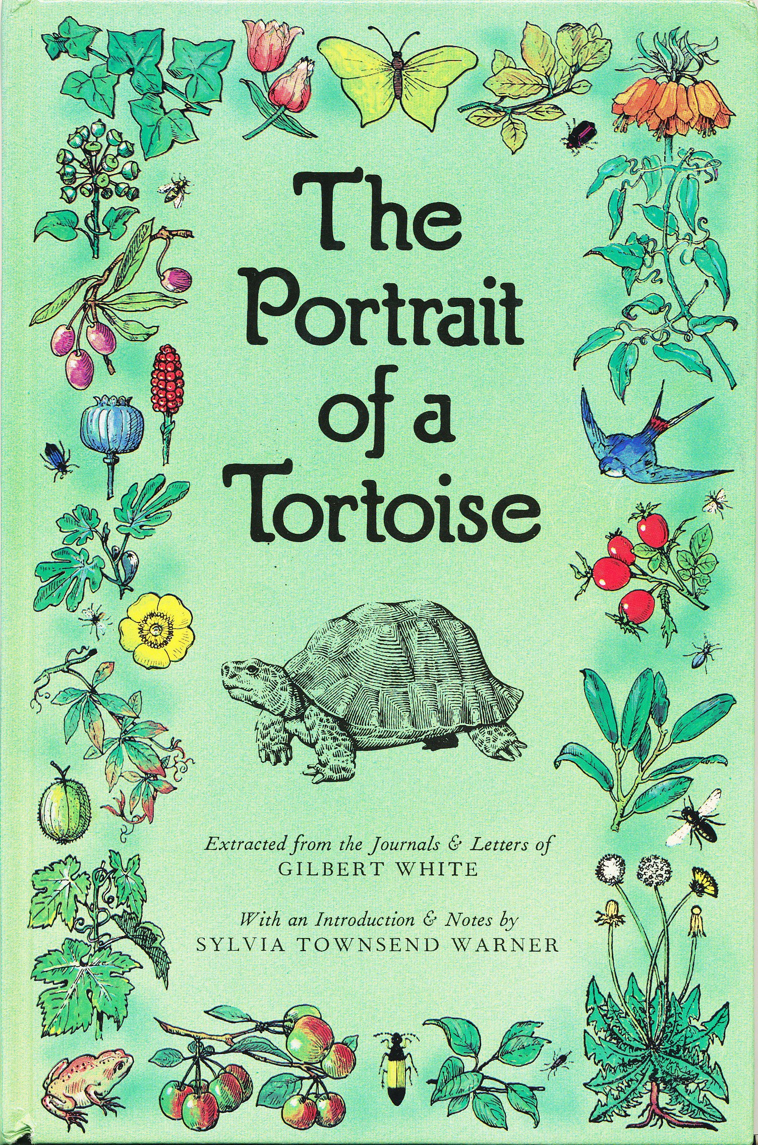 The Portrait of a Tortoise