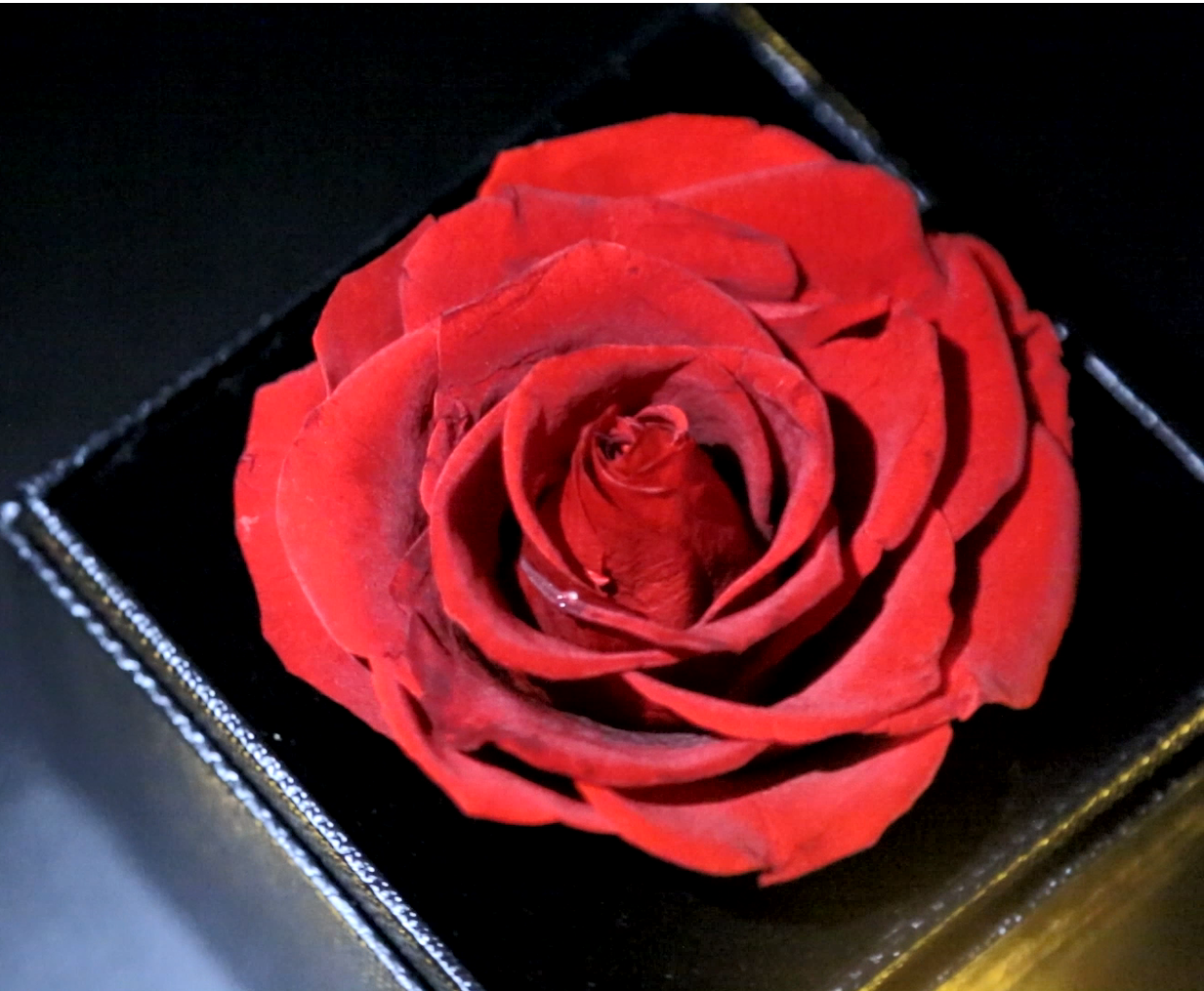 Regalos para Mujeres, Mamá, Esposa, Novia, Hermana, El Salvador
