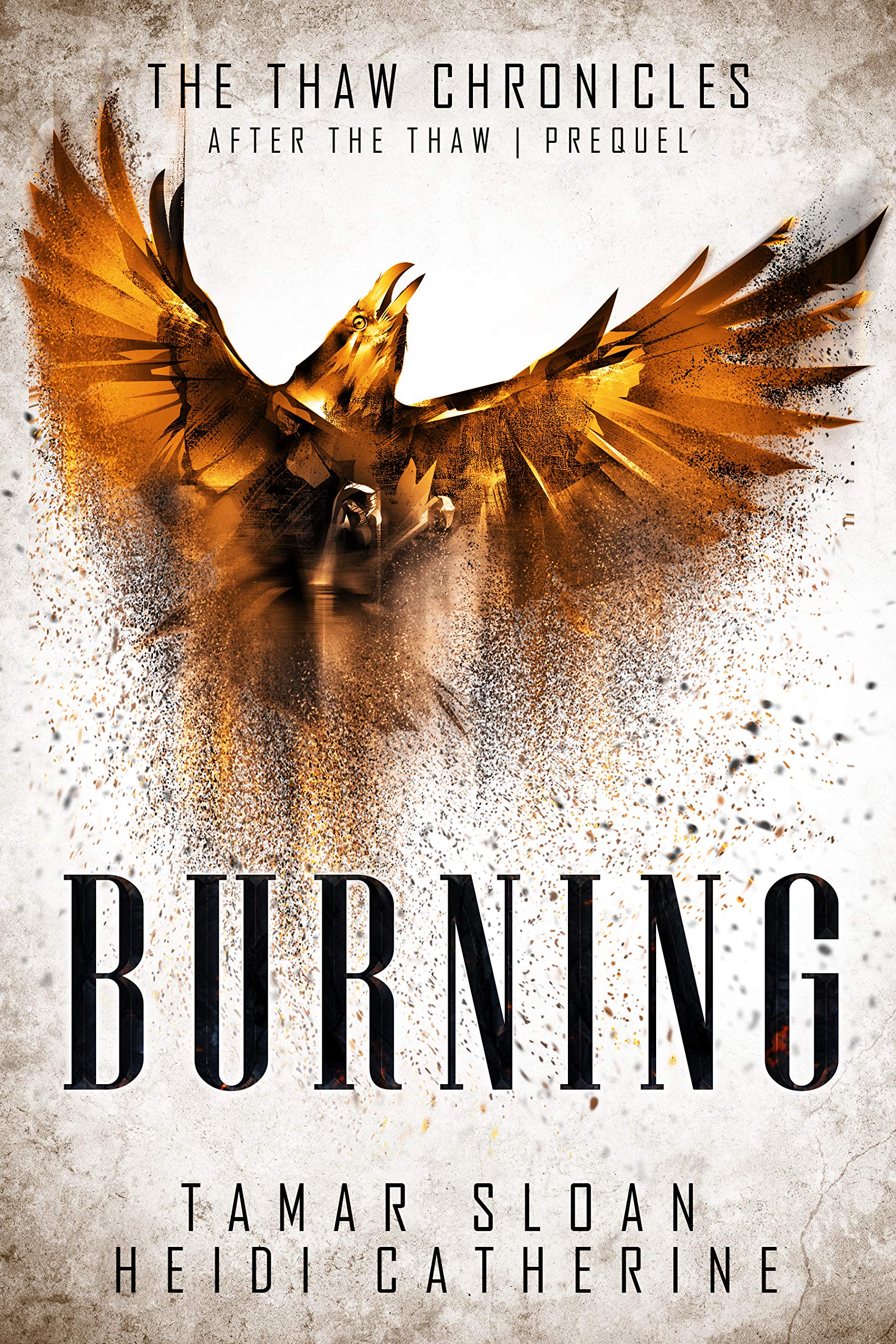 Cover of Burning