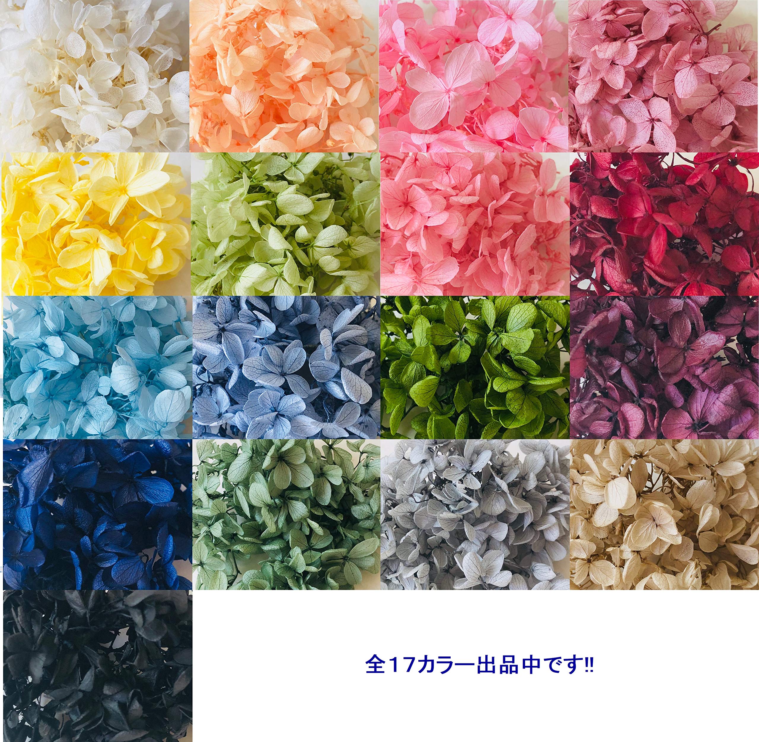 Amazon.co.jp: プリザーブドフラワー ピラミッドアジサイ グリーン