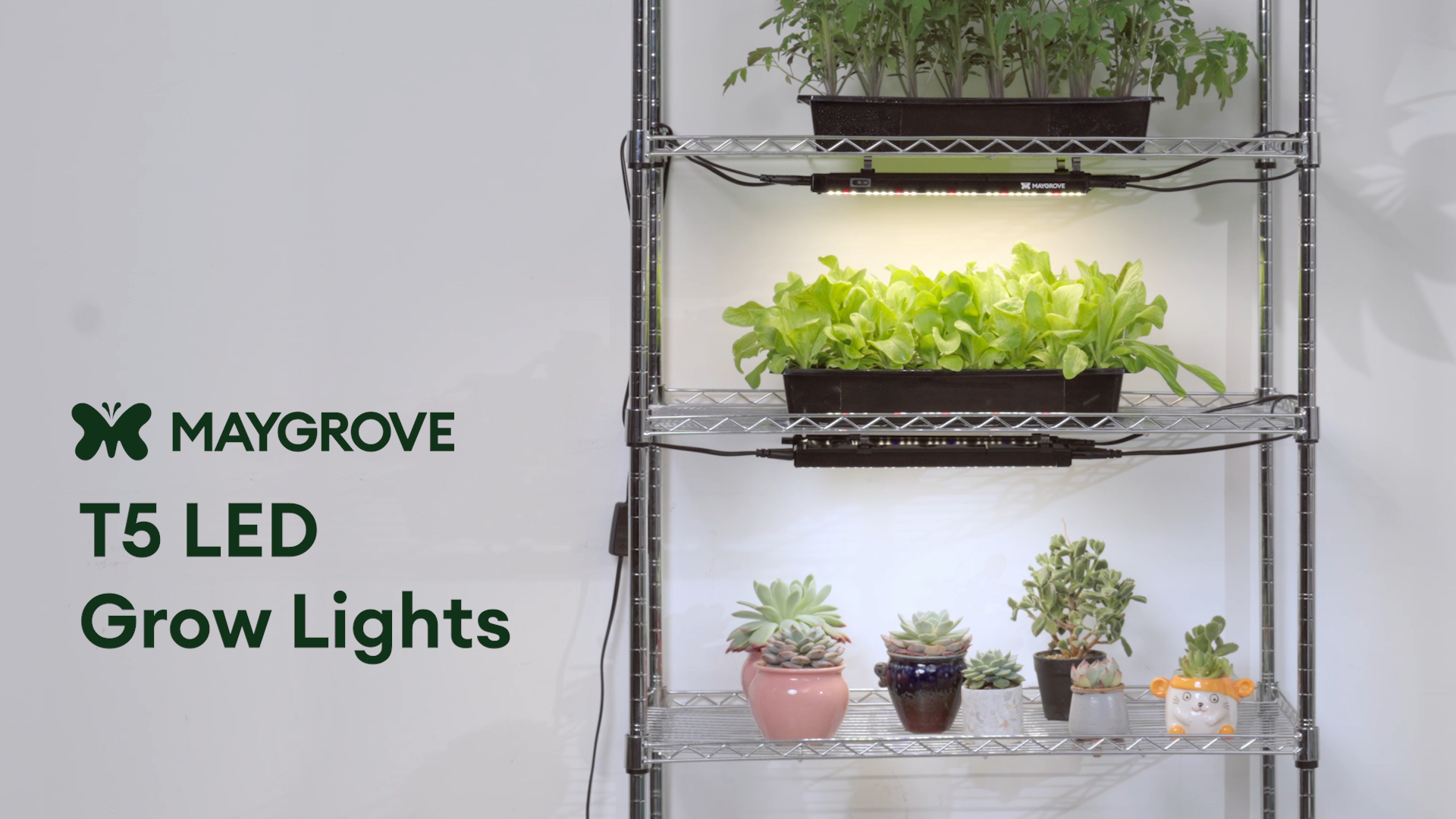 Amazon.com : Maygrove Grow Lights for Indoor Plants, Tunable