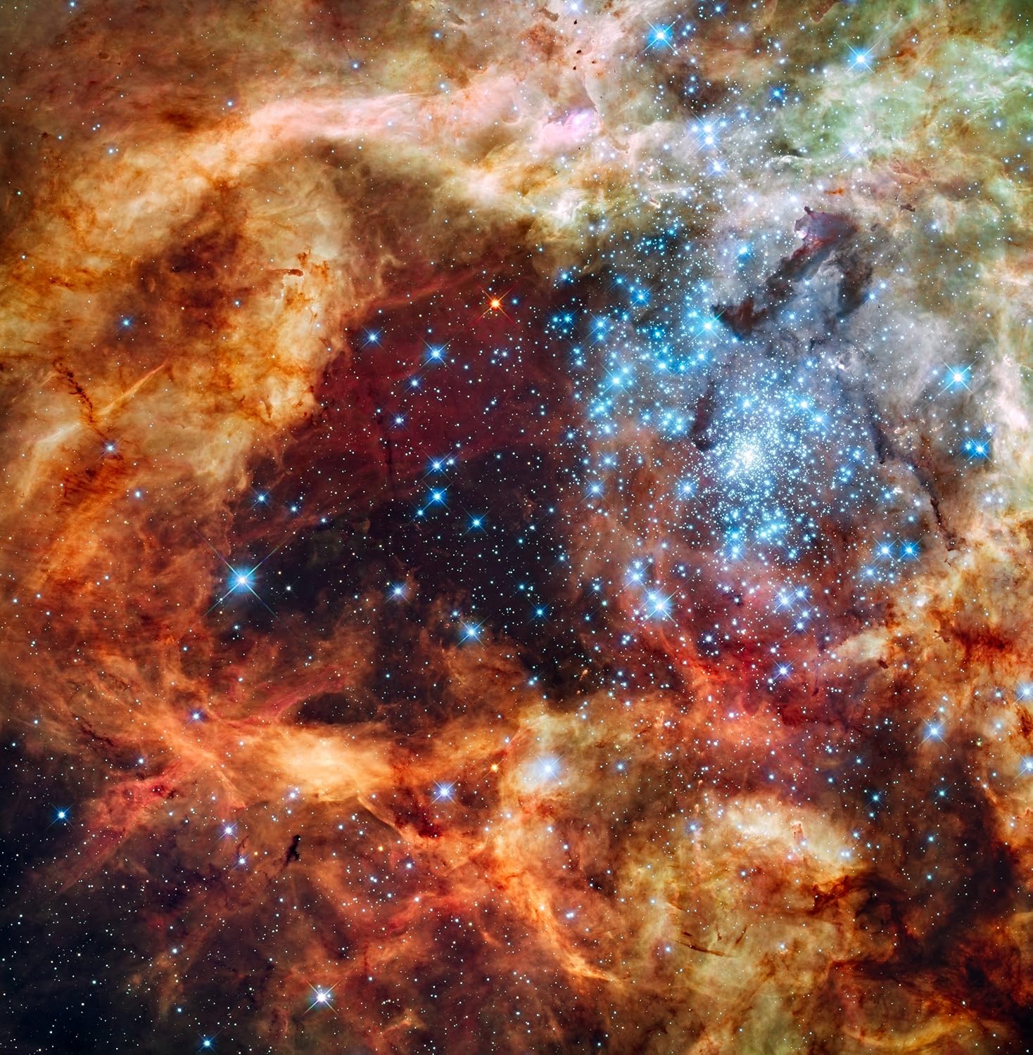 Hubble Space Telescope Poster Photo Tarantula Nebula Hubble NASA