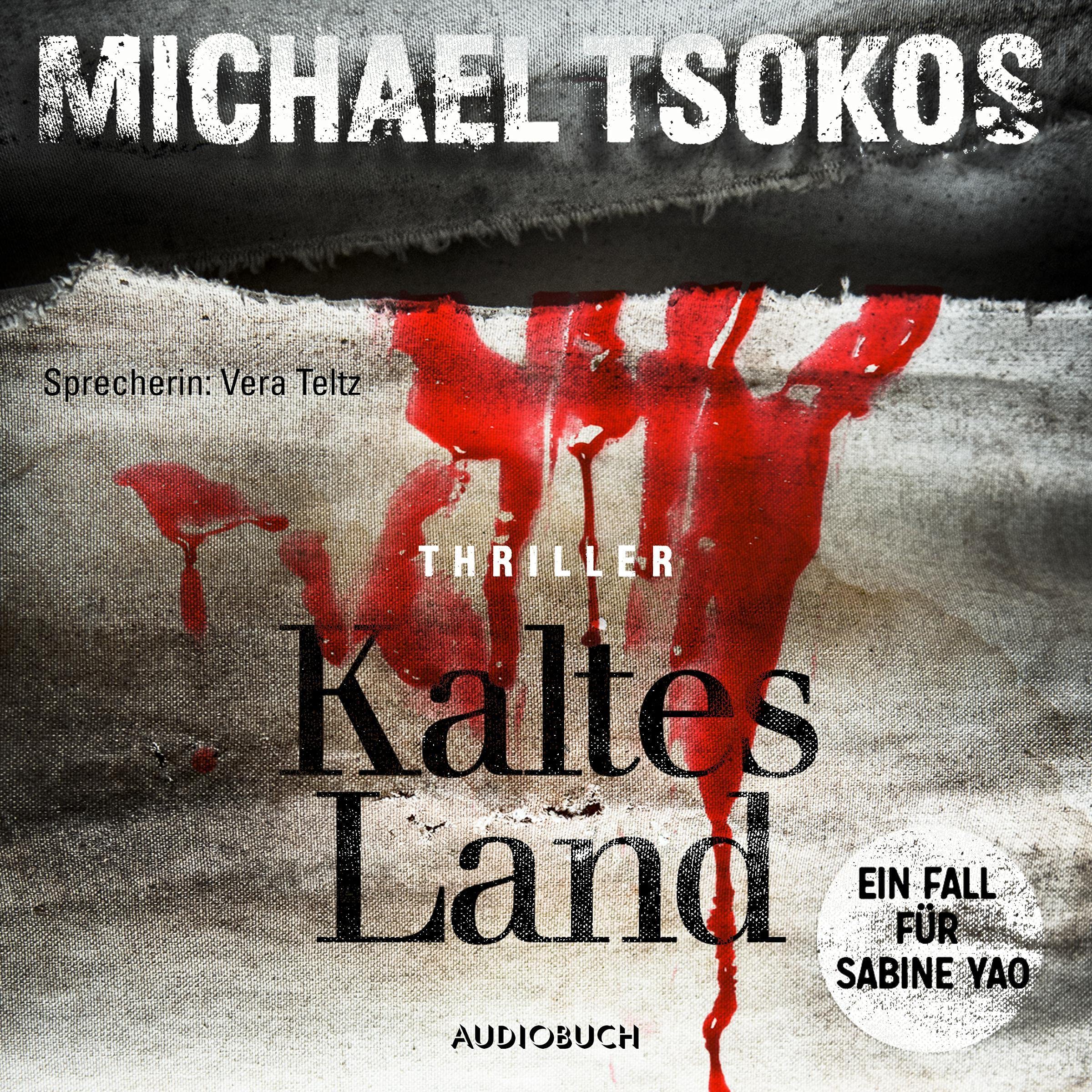 Cover art for Kaltes Land