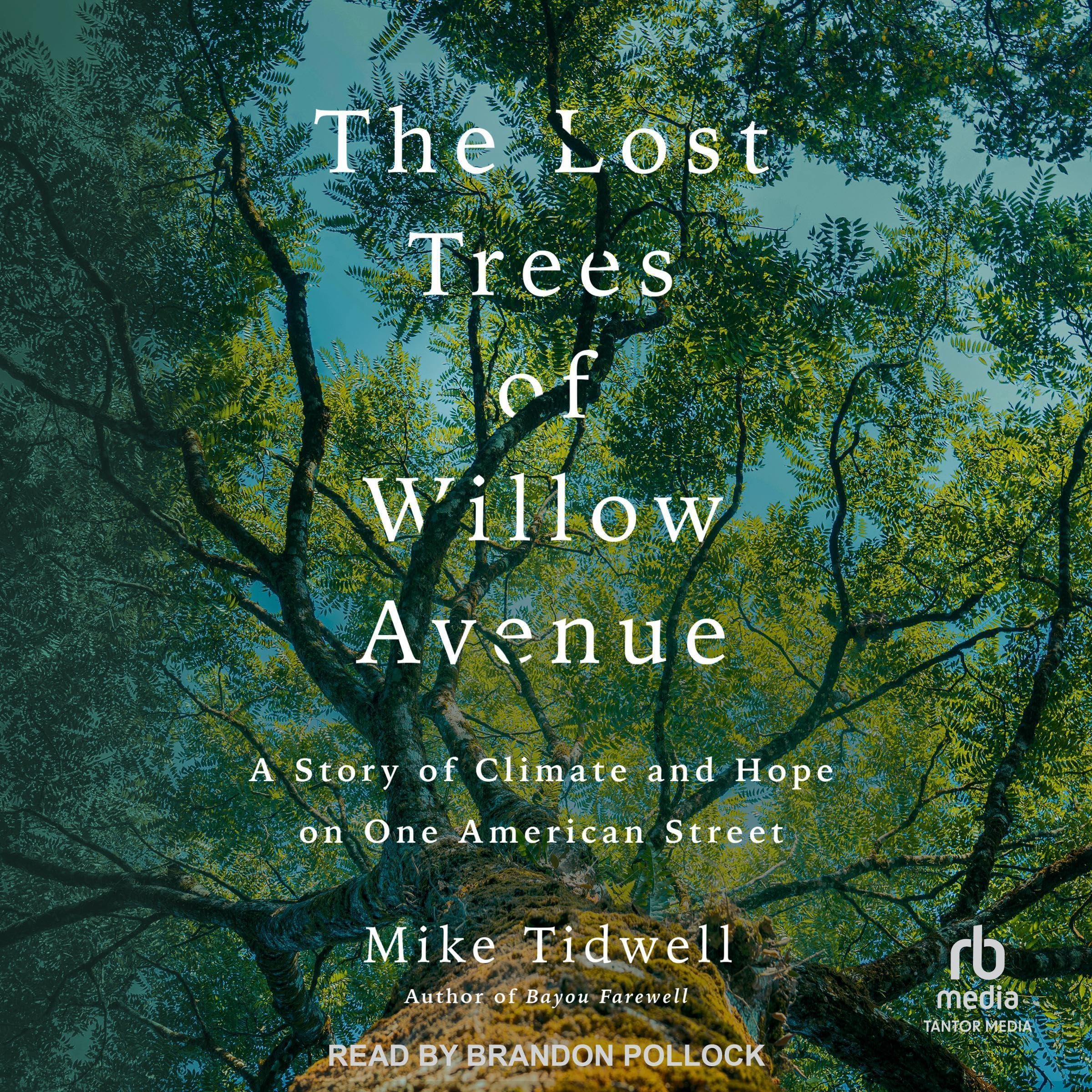 Cover art for The Lost Trees of Willow Avenue