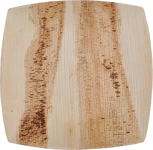 Green Atmos 25 unidades de platos cuadrados desechables de 10 pulgadas estilo cuadrato para fiestas, bodas, cenas, bufé, biodegradables,