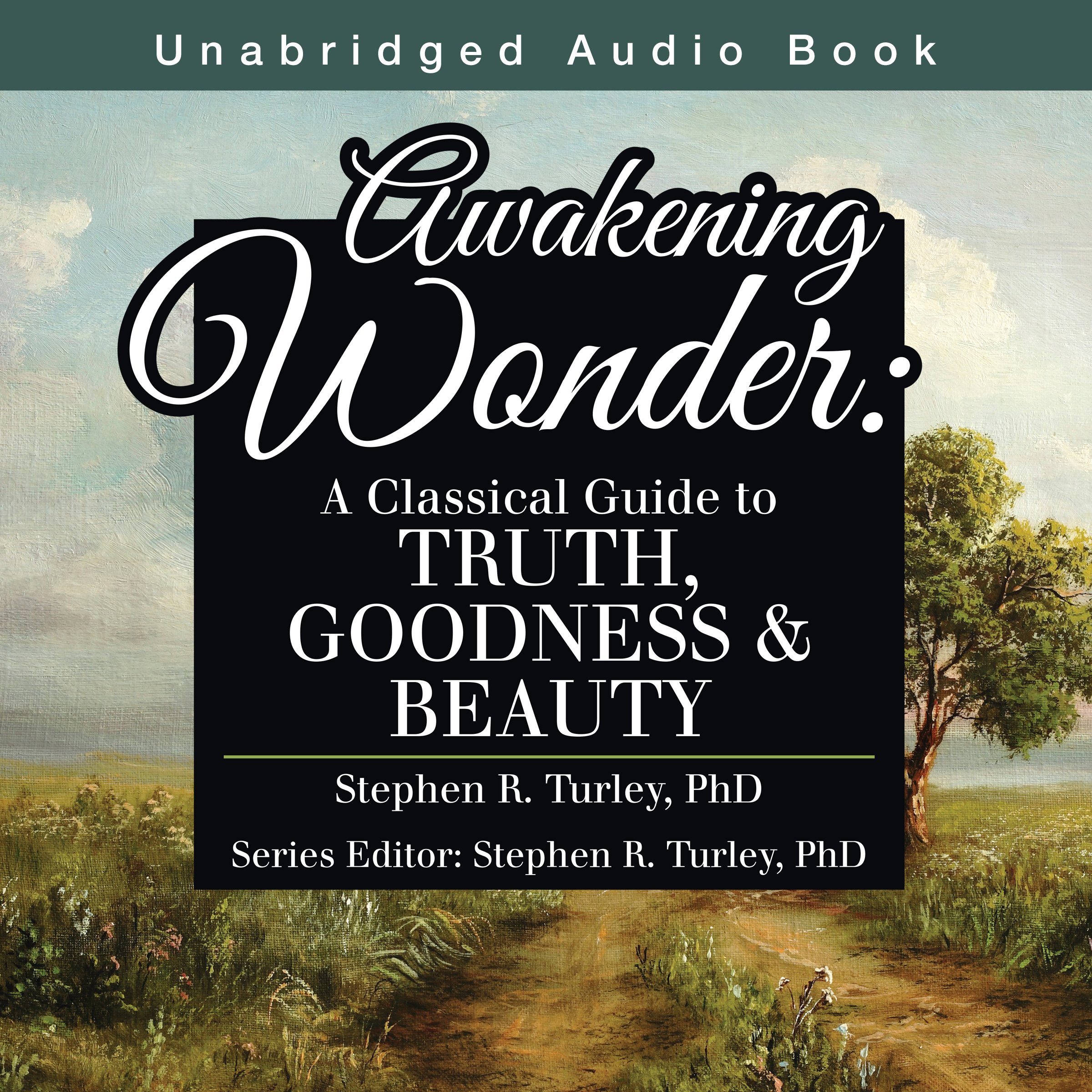 Cover art for Awakening Wonder