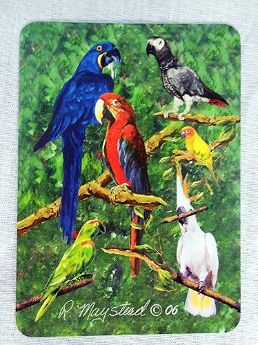 Mejores amigos de Ruth Maystead Bird Art Poker naipes, loro, cacatúa, guacamayo