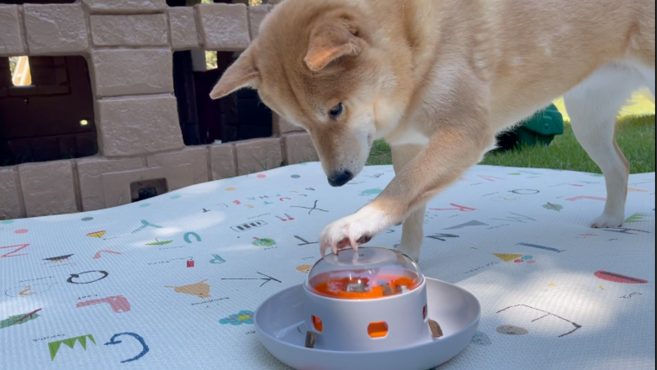 The UFO Interactive Push Button Food Treat Dispenser Bowl for Dogs & Cats for Fun Slow Feeding - Image 7
