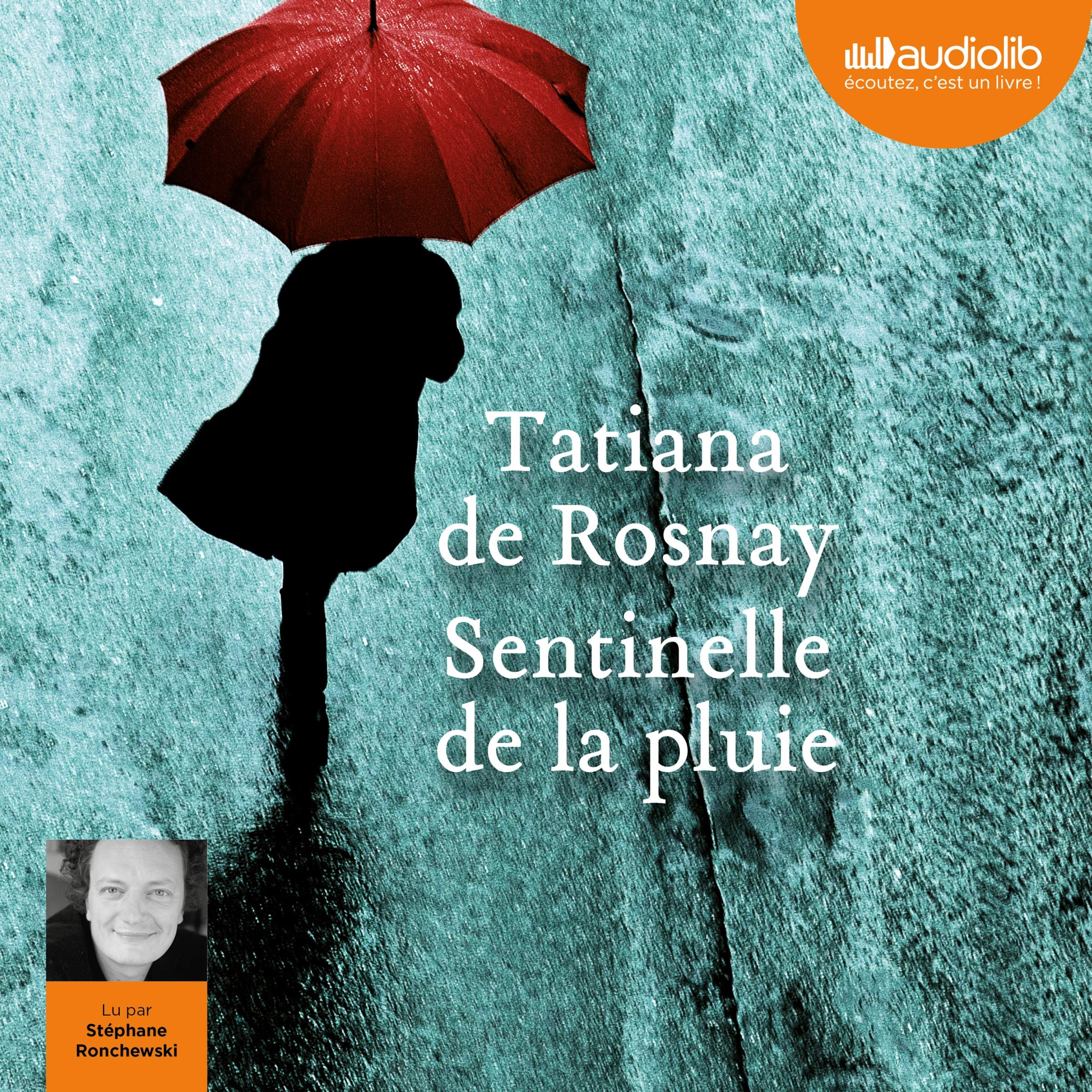 Cover art for Sentinelle de la pluie