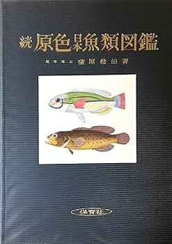 A1tOFExFFbL._AC_UF350,