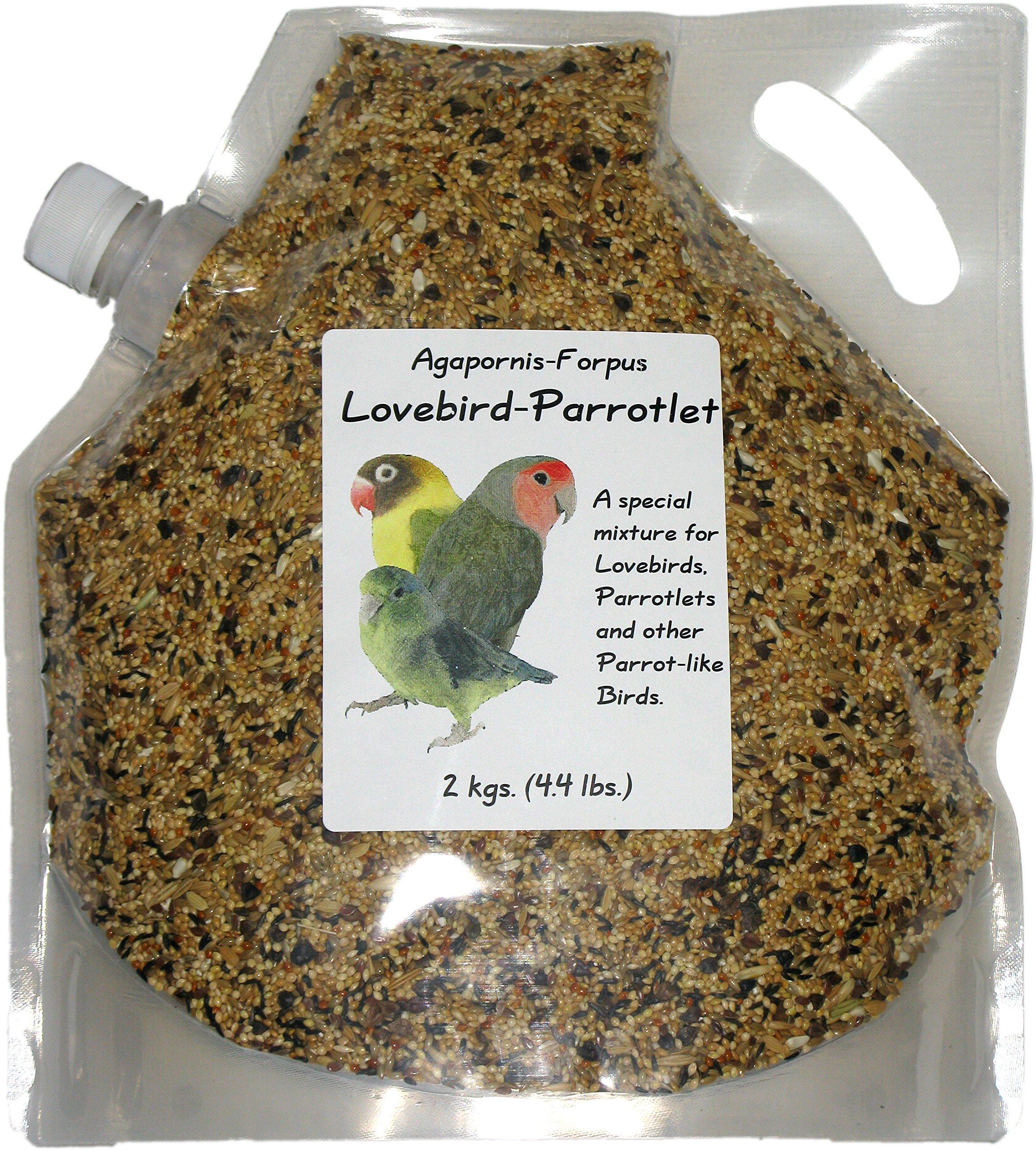 Picture of Pacific Parrotlets Food