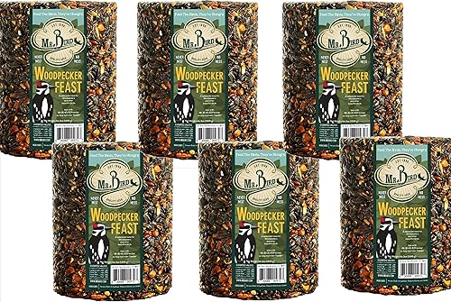 Miniatura 2 de Mr. Bird Cilindro de semilla de pájaro carpintero - Grande 6" Diámetro