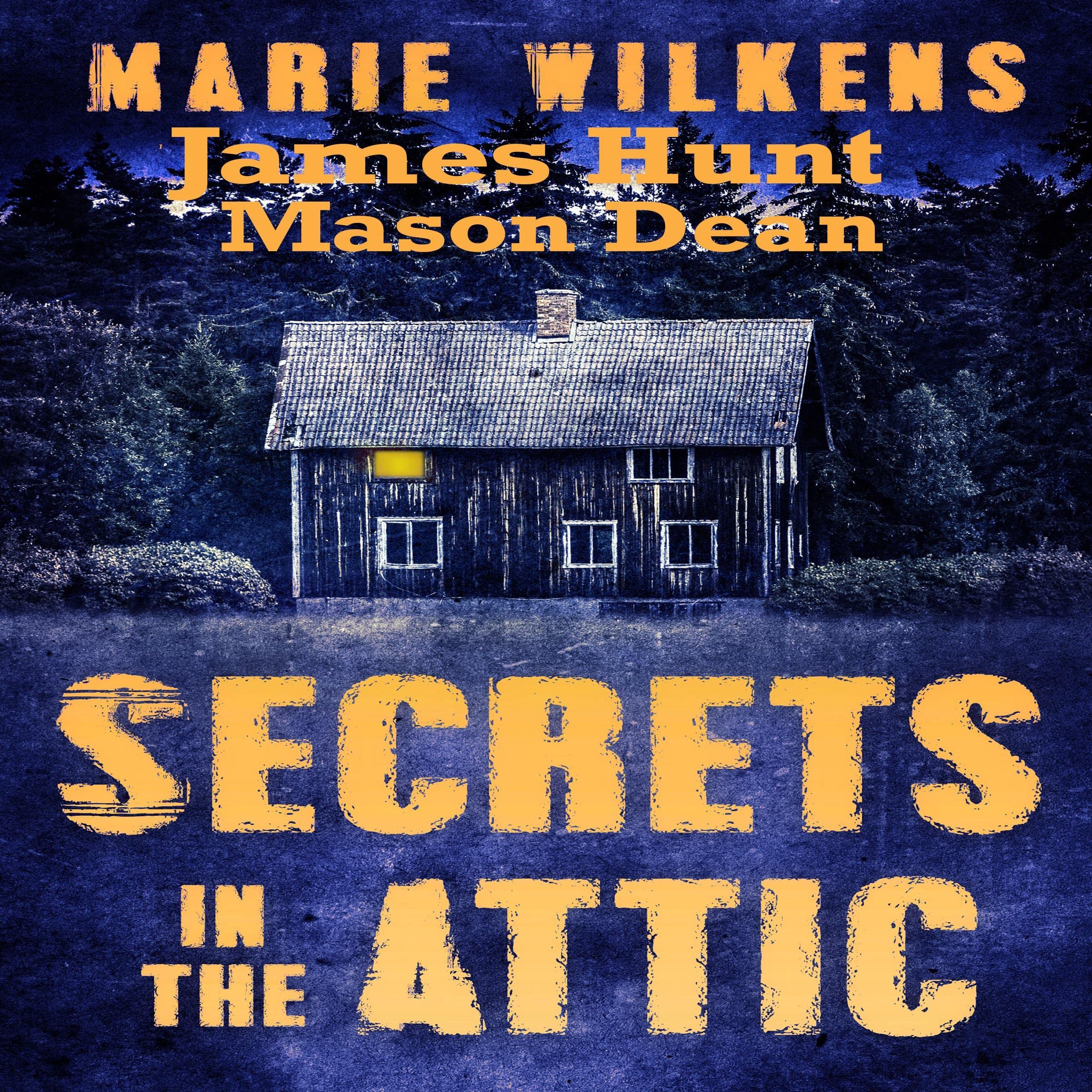 Cover art for Secrets in the Attic