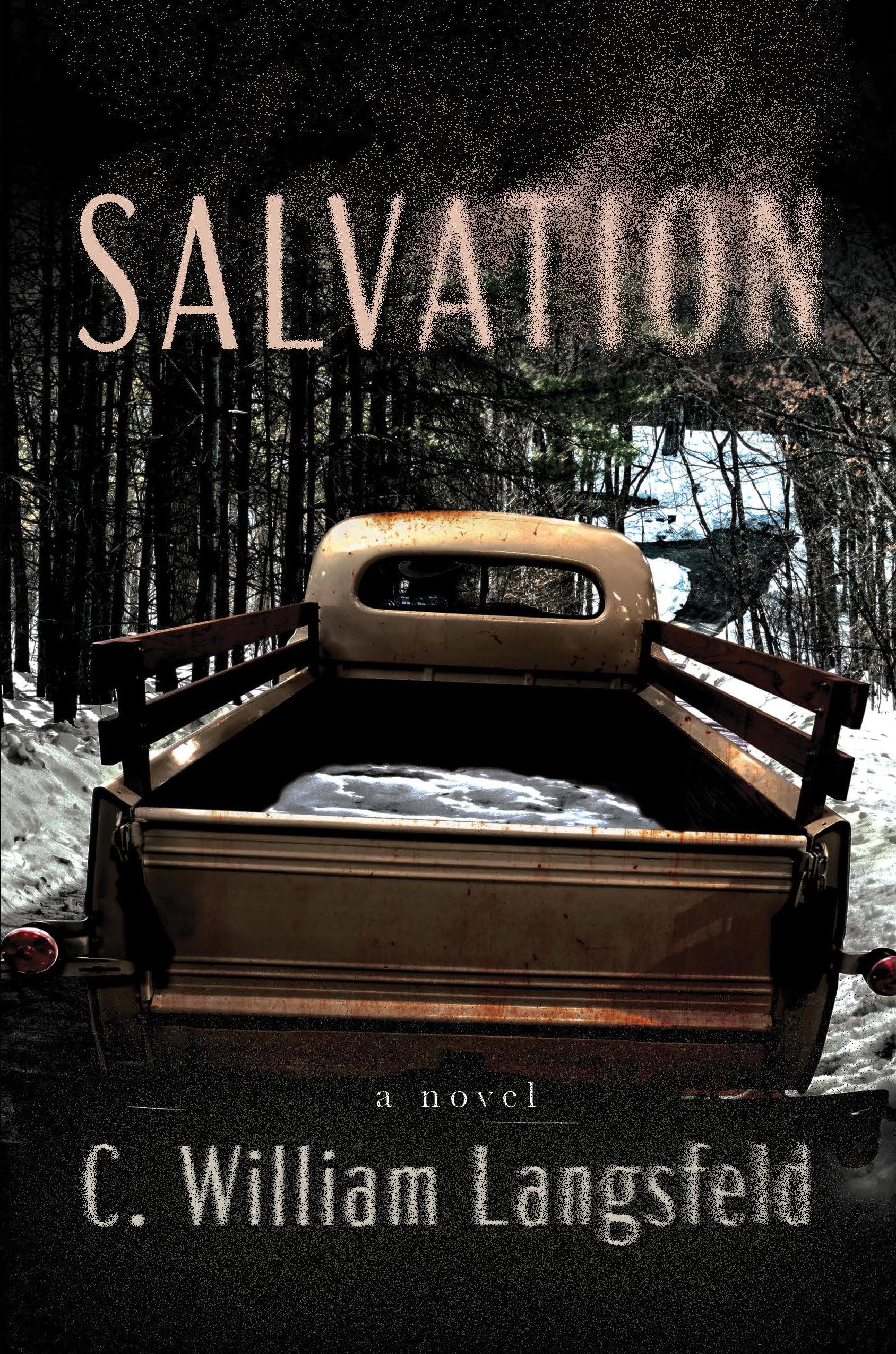 Salvation: A Novel.by Langsfeld  New 9781640097230 Fast Free Shipping**