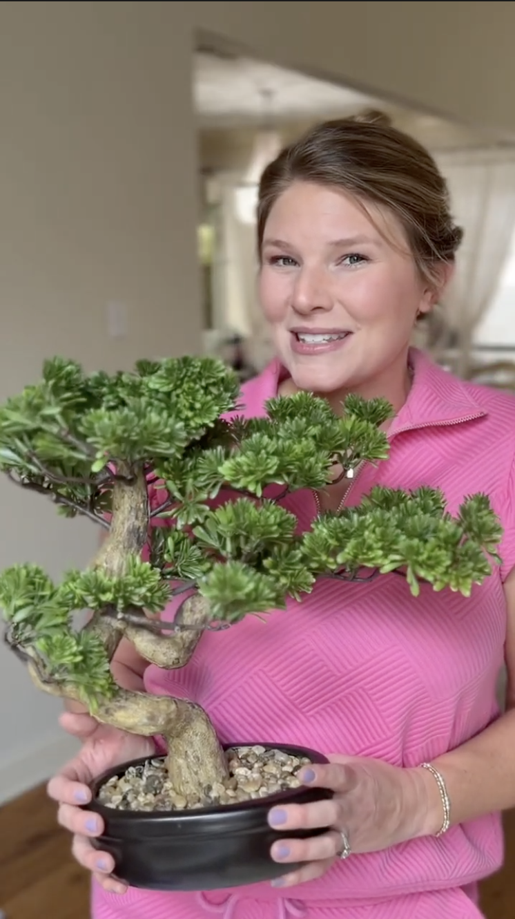 Amazon.com: Artificial Bonsai Tree 16