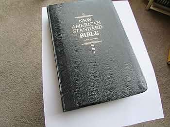 洋書 HOLY BIBLE Holy Bible: New American, Black, Bonded Leather, Catholic