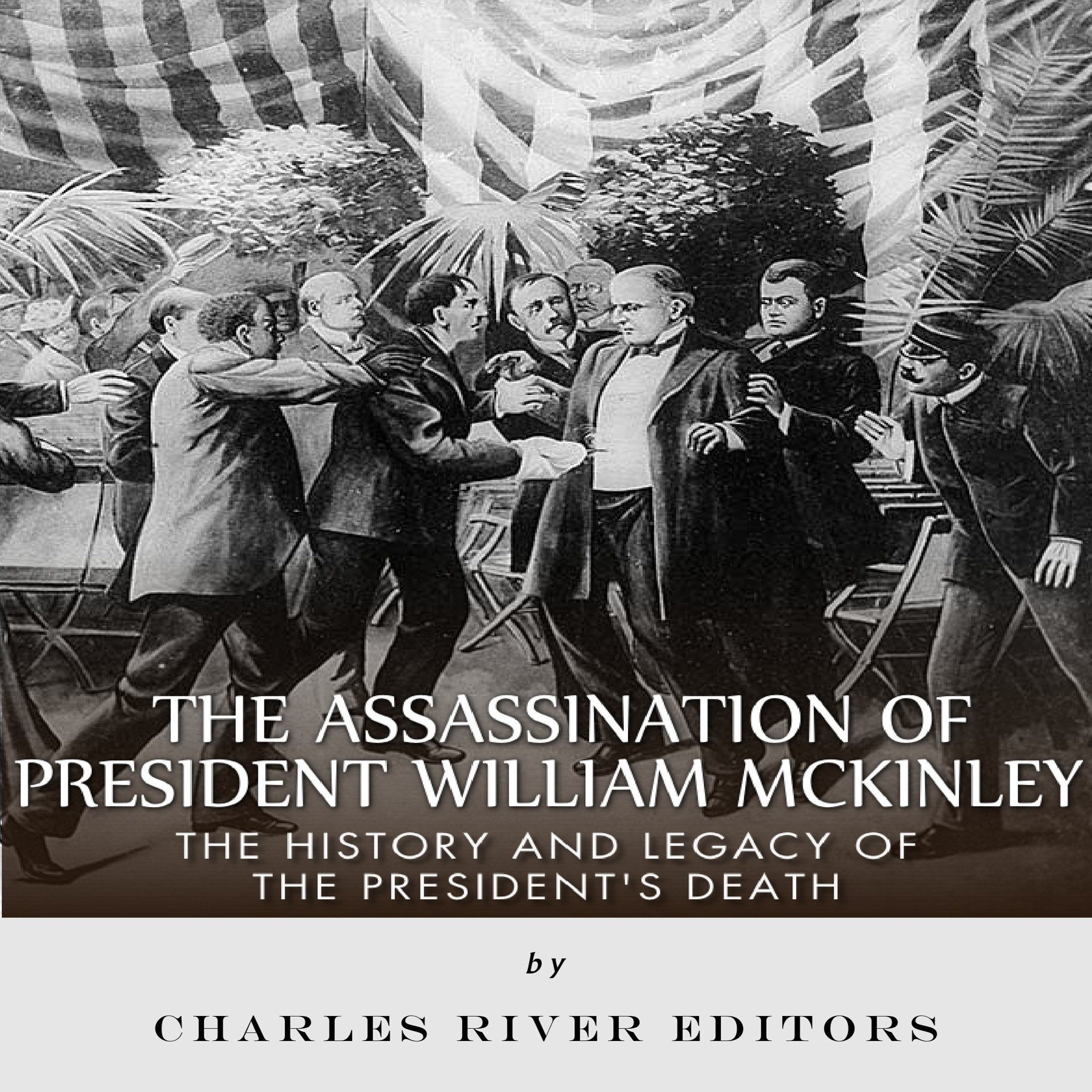 The Assassination of President William McKinley