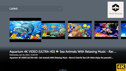 Aquário 4K Deslumbrante Subaquático com Música Relaxante - Recifes de Coral & Vida Marinha Colorida