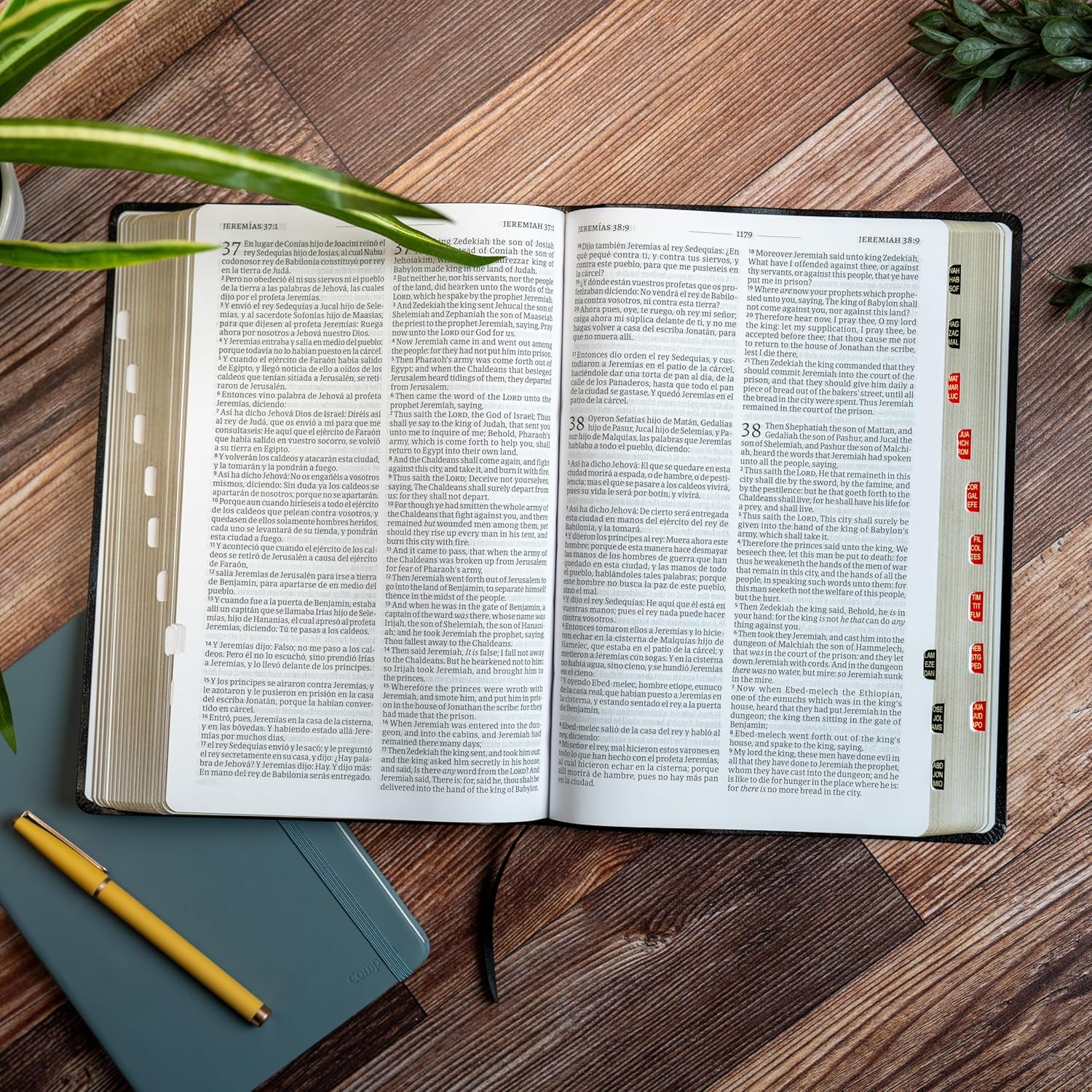 RVR 1960/KJV Biblia bilingüe letra grande, negro imitación piel, con índice (2024 ed.) / RVR 1960/KJV Large Print Bilingual Bible Black Imitation ... (2024 Edition) (Spanish and English Edition)      Imitation Leather – June 1, 2024