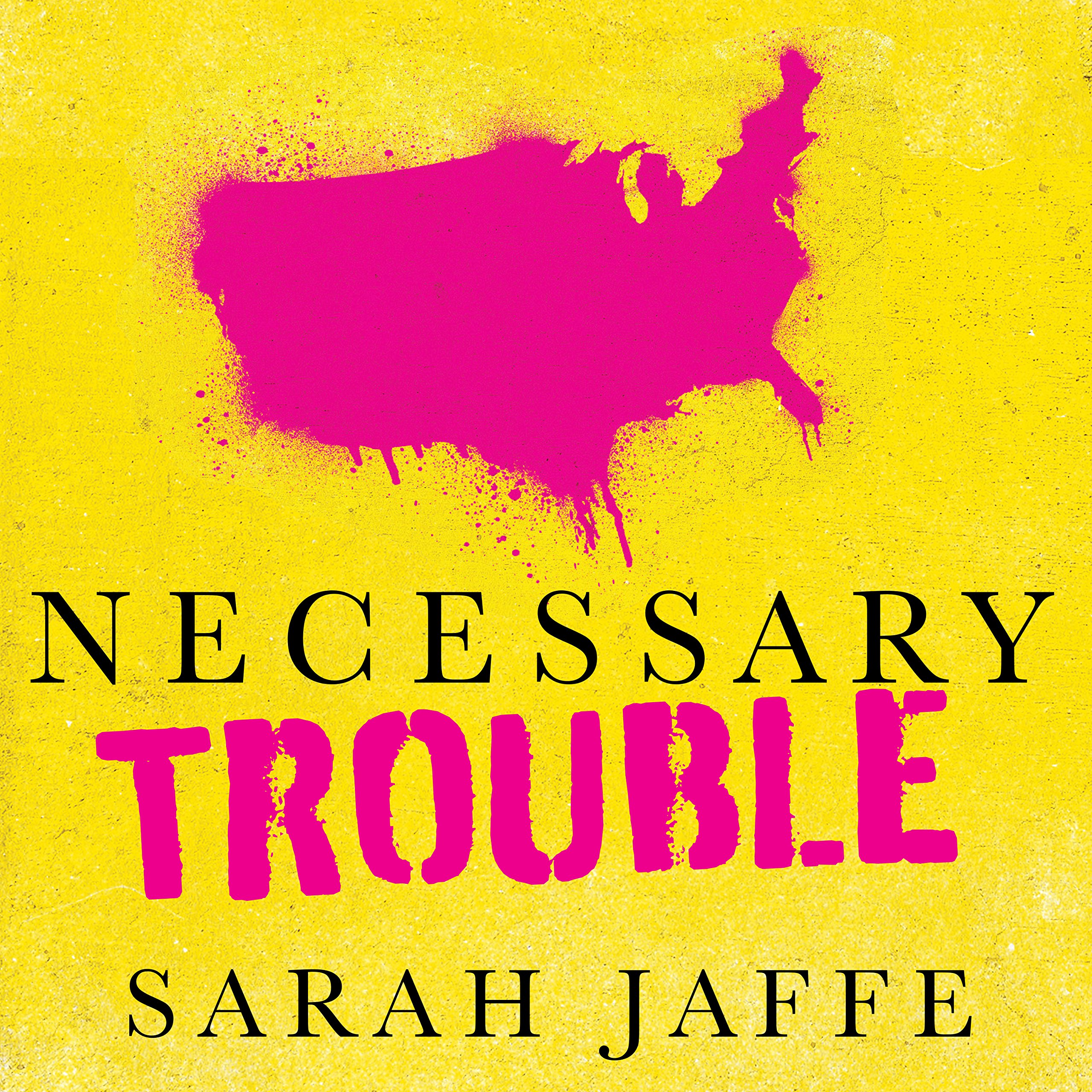 Cover art for Necessary Trouble