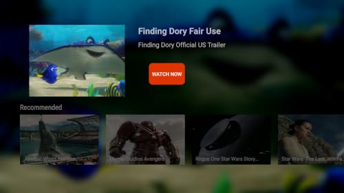 FE YO WEW TV – vue 4