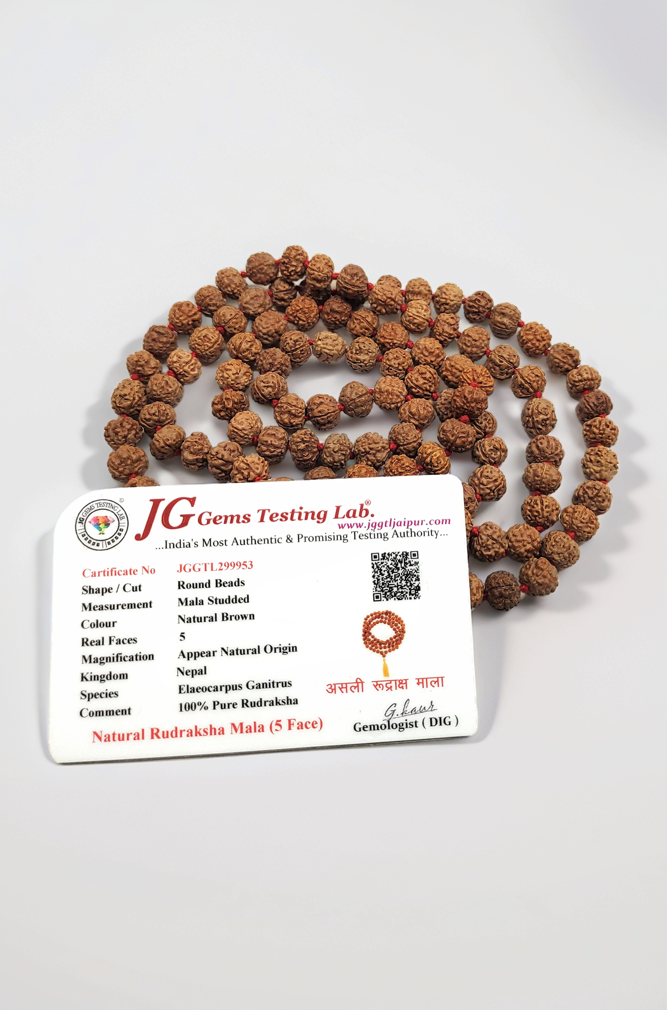 rocksmins Natural Original 5 Panch Mukhi Rudraksha Jaap Mala with Lab Certificate (108+1 Guaranteed) 8 mm Beads for Pooja Astrology Wearing in Neck/Holding Men Women Boys Girls Protection Meditation
