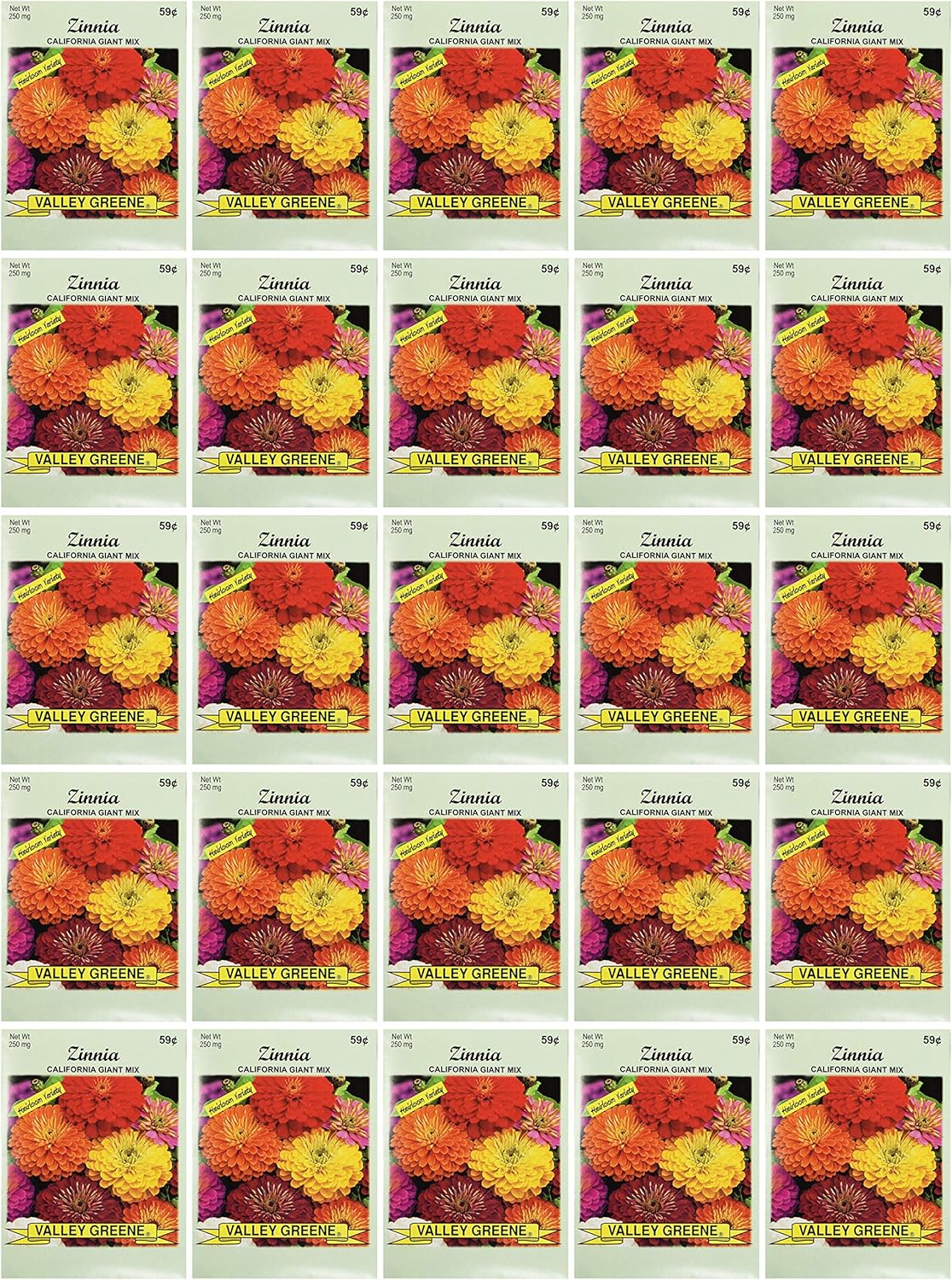 Set of Flower Seed Packets! Flower Seeds in Bulk - Great for Creating The Garden of Your Dreams! (50, Zinnia - Lilliput)