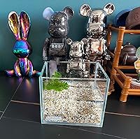 Vista 4 de Pequeño Tanque Nano Alto Sin Montura, Tanque de Peces de Vidrio, Tanque Betta (0.7 Galones, 5.9x4.3x5.1in/15x11x13cm)