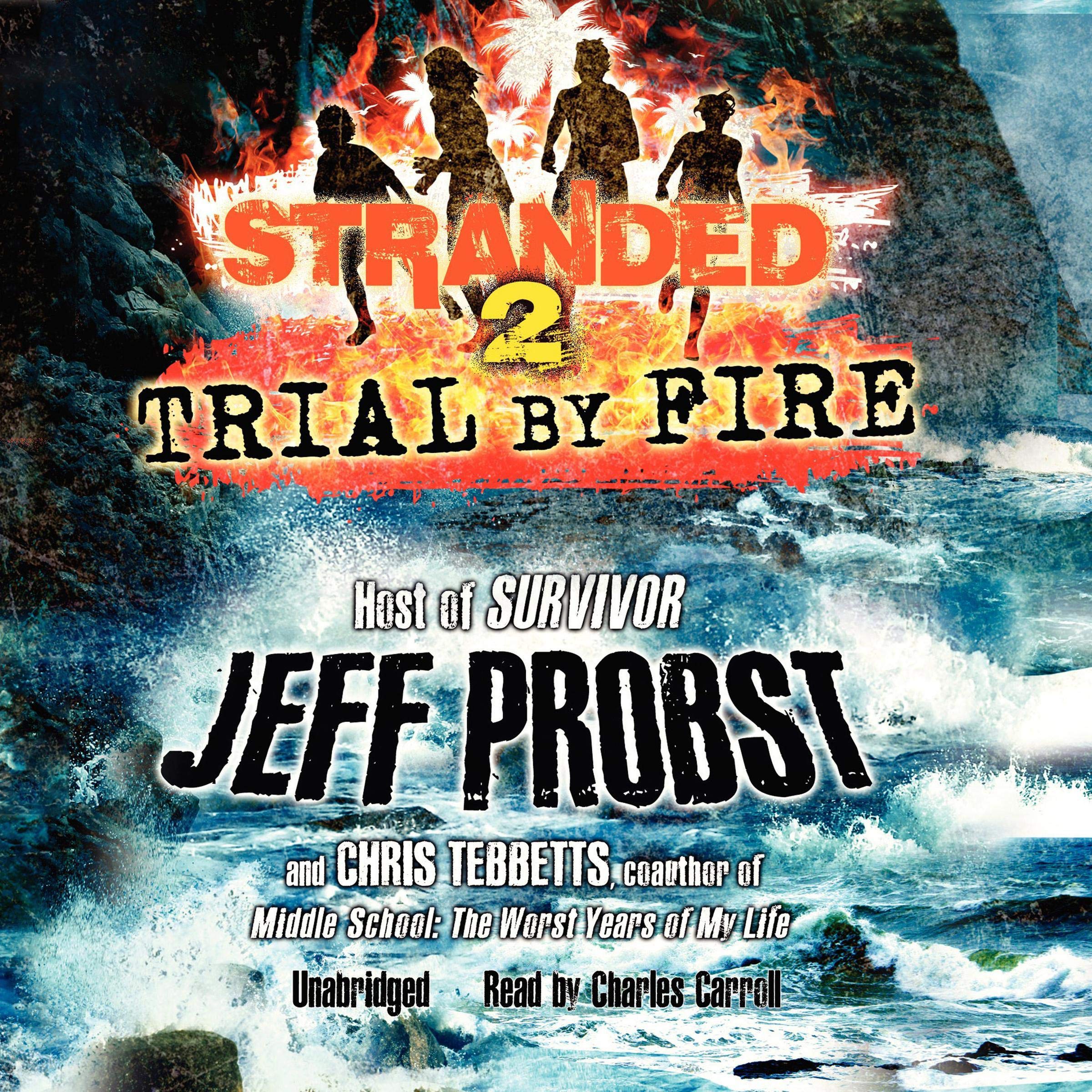 Cover art for Trial by Fire