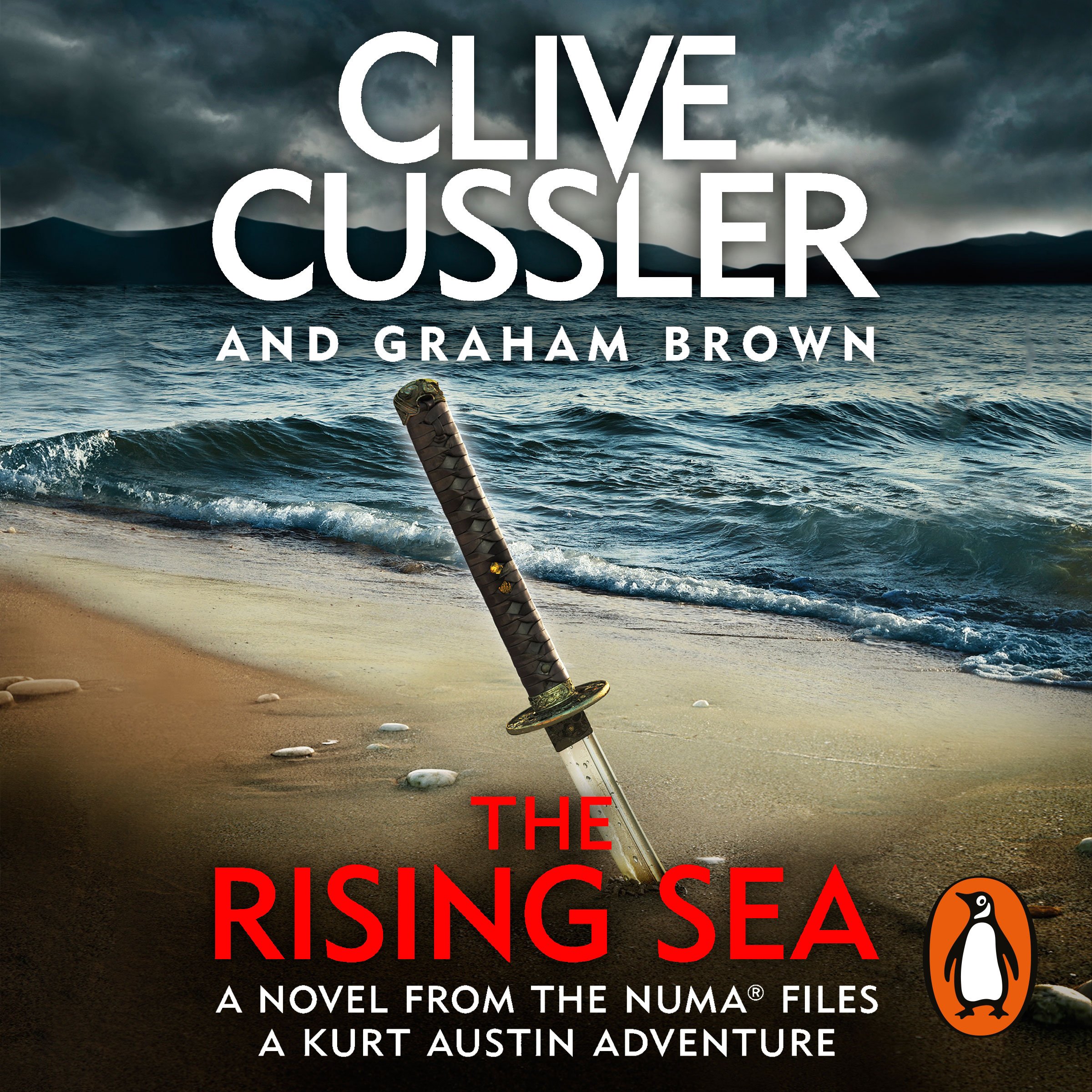 Cover art for The Rising Sea