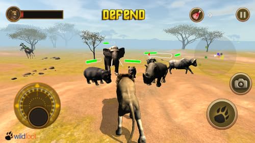 Lion Chase – vue 4