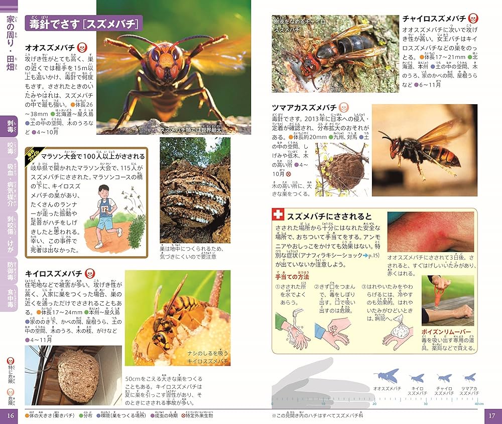 危険生物 危険生物 通販｜セブンネットショッピング