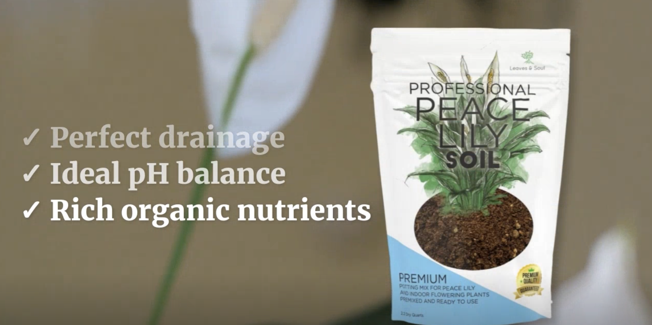 Amazon.com : Professional Peace Lily Soil | Large 2.2 Quarts Ready