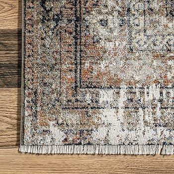 Amazon.com: nuLOOM Charvi Distressed Medallion Fringe Area