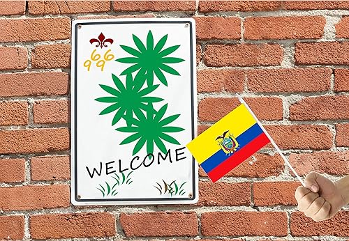 Miniatura 5 de Banderas ecuatorianas de mano pequeñas mini banderas ecuatorianas en miniatura con poste sólido de 12.6 pulgadas y parte superior de lanza,