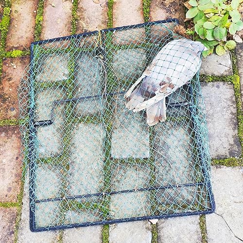 Miniatura 5 de Trampa para pájaros, jaula de codorniz de paloma, control de animales vivos, trampas de pollo estornino de primavera para atrapar