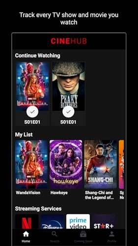 CineHub: Movies/TV Shows Guide