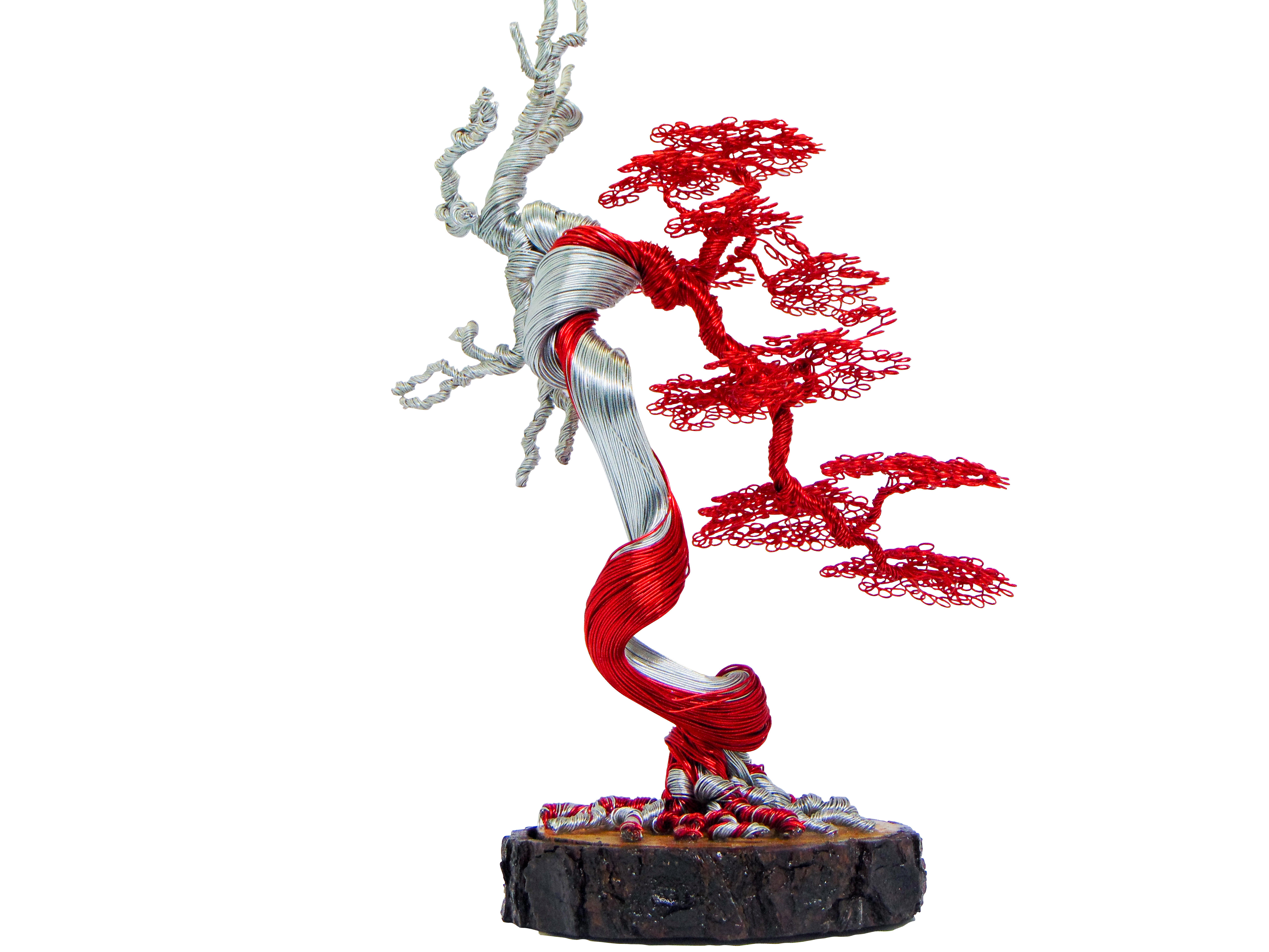 光月在銘　極上彫赤銅銀細工帯留　39g 東Y8-0421☆2Fトヒル Amazon.com: GREENHANDSHAKE Bonsai Copper Wire Tree Sculpture, Tree