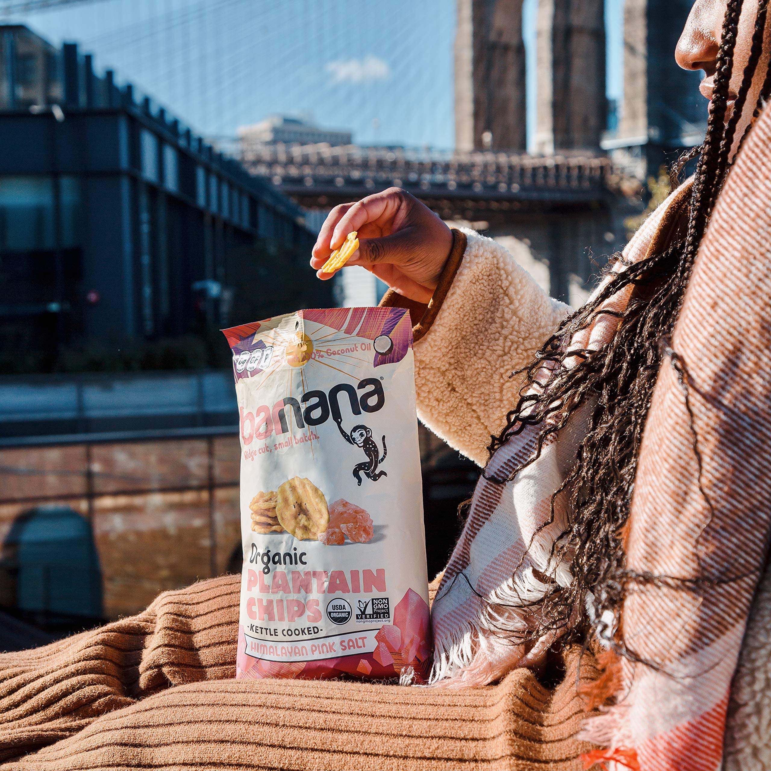 Barnana Organic Plantain Chips, Himalayan Pink Salt, 5 Ounce Bags (6