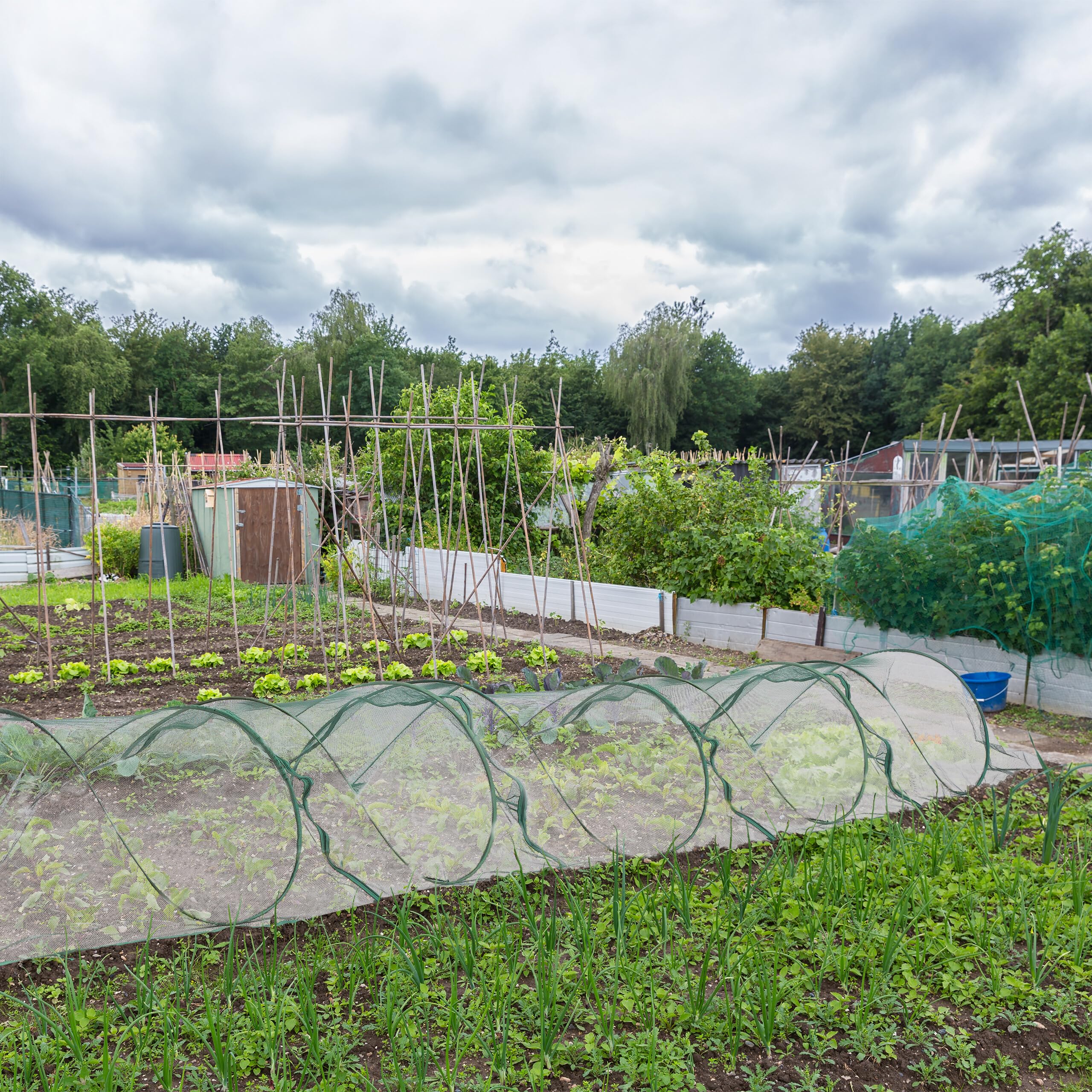 Relaxdays Tunnel de Croissance, système « Pop up », répond à Vos Besoins, pour légumes et Fraises, 5,5 m, Vert foncé