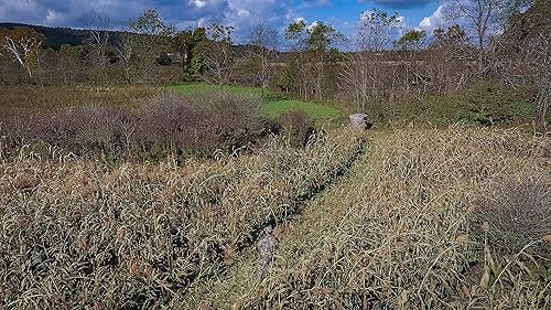 Miniatura 5 de Whitetail Institute Semilla de parcela de