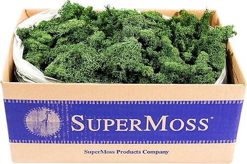 Musgo preservado SuperMoss, Verde bosque