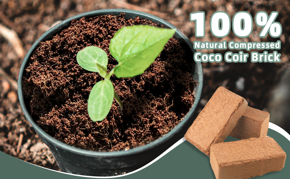 Amazon.com : 9-Pack Premium Organic Coco Coir Bricks for Plants