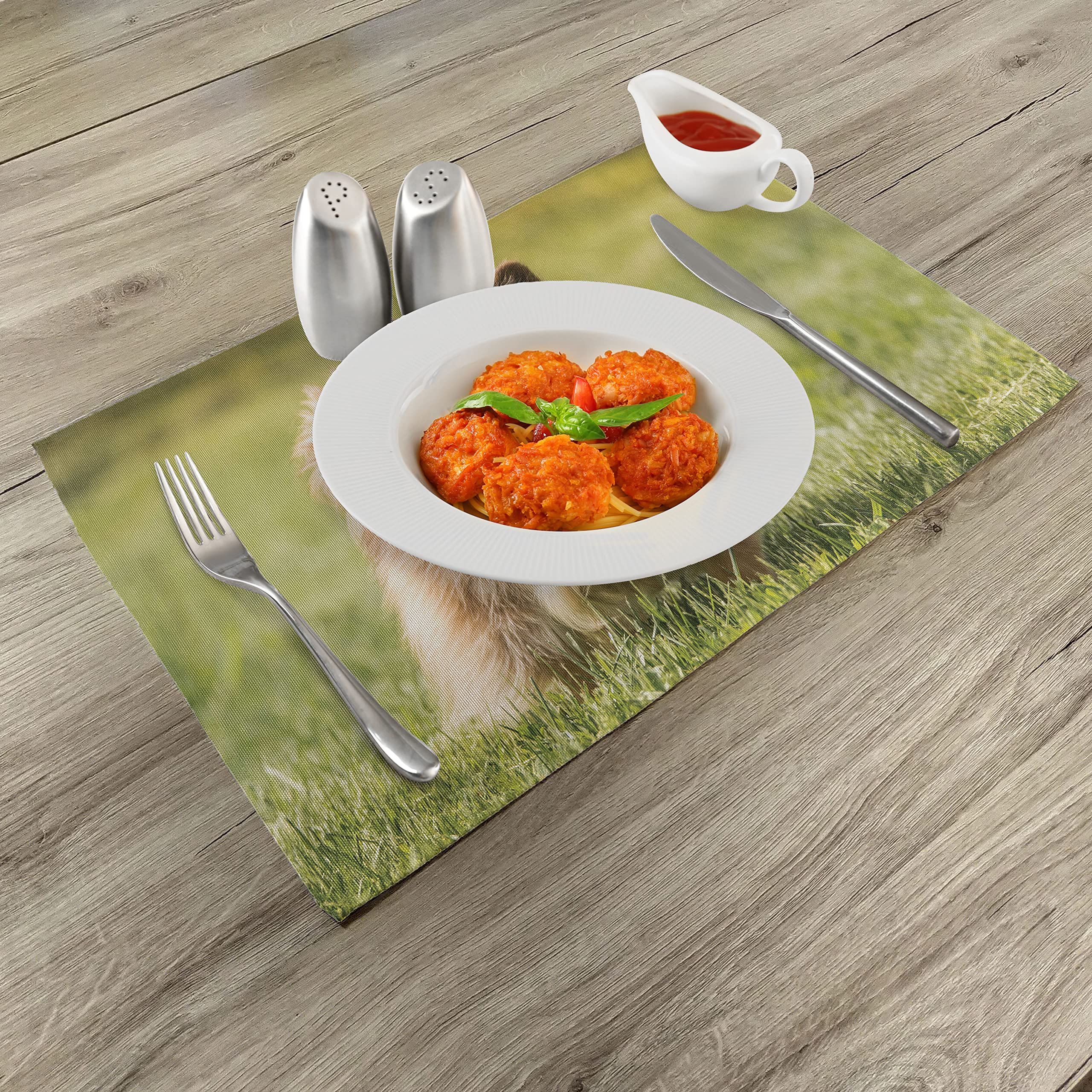 ABAKUHAUS Teckel Lot de Sets de Table en 4 pièces, Canine Cartoon Dog, Tissu Lavable pour Salle à Manger et Cuisine, 30 cm x 45 cm, Brun Moutarde ABAKUHAUS Teckel Lot de Sets de Table en 4 pièces, Canine Cartoon Dog, Tissu Lavable pour Salle à Manger et Cuisine, 30 cm x 45 cm, Brun Moutarde