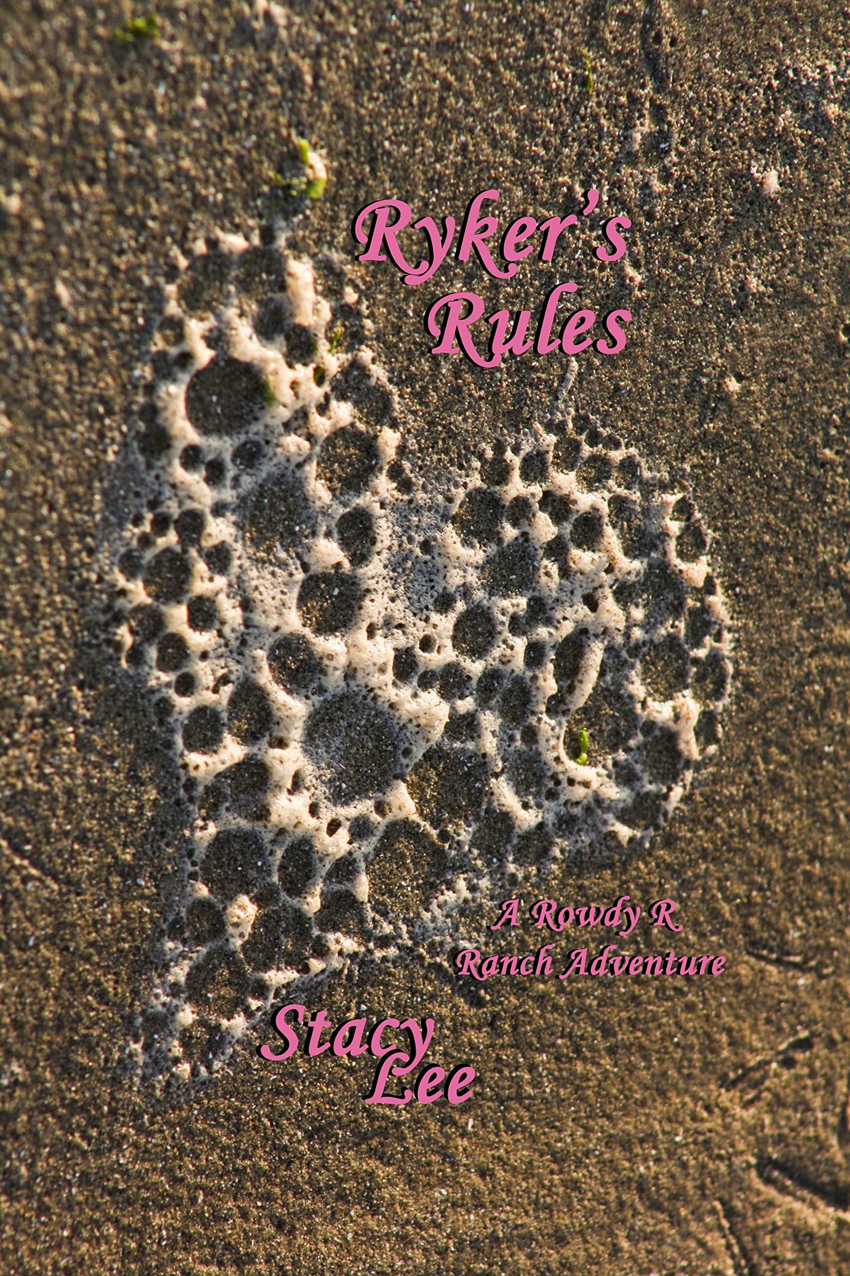 Ryker's Rules (Rowdy R Ranch Adventures Book 2)