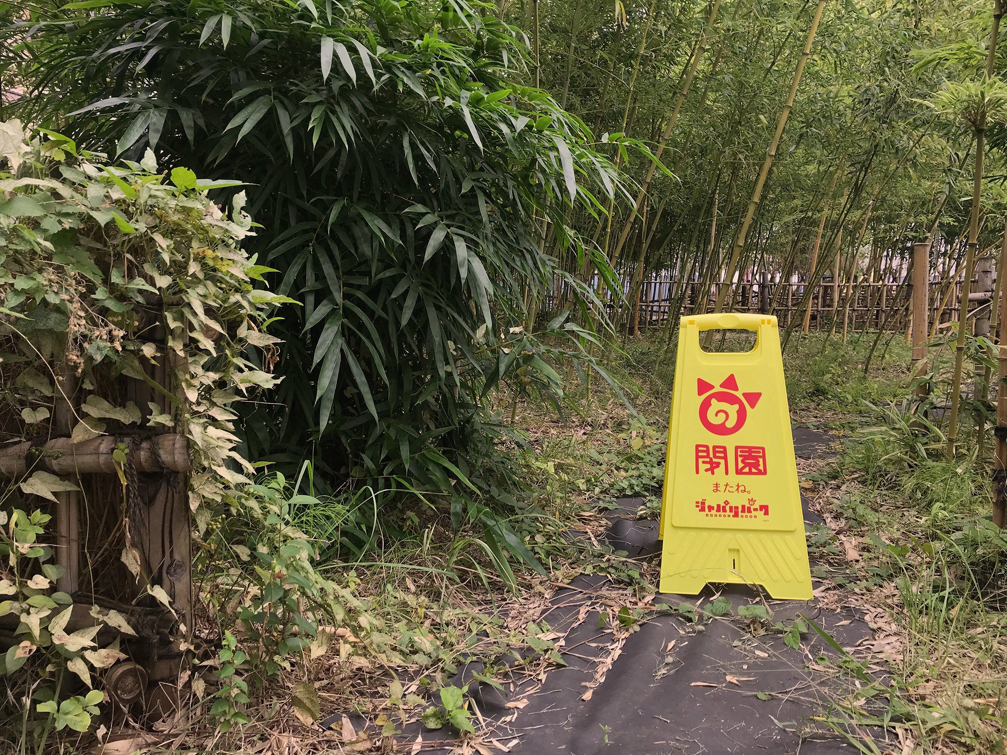 Amazon.co.jp: けものフレンズ 【ほむこす】 ジャパリパークフロア