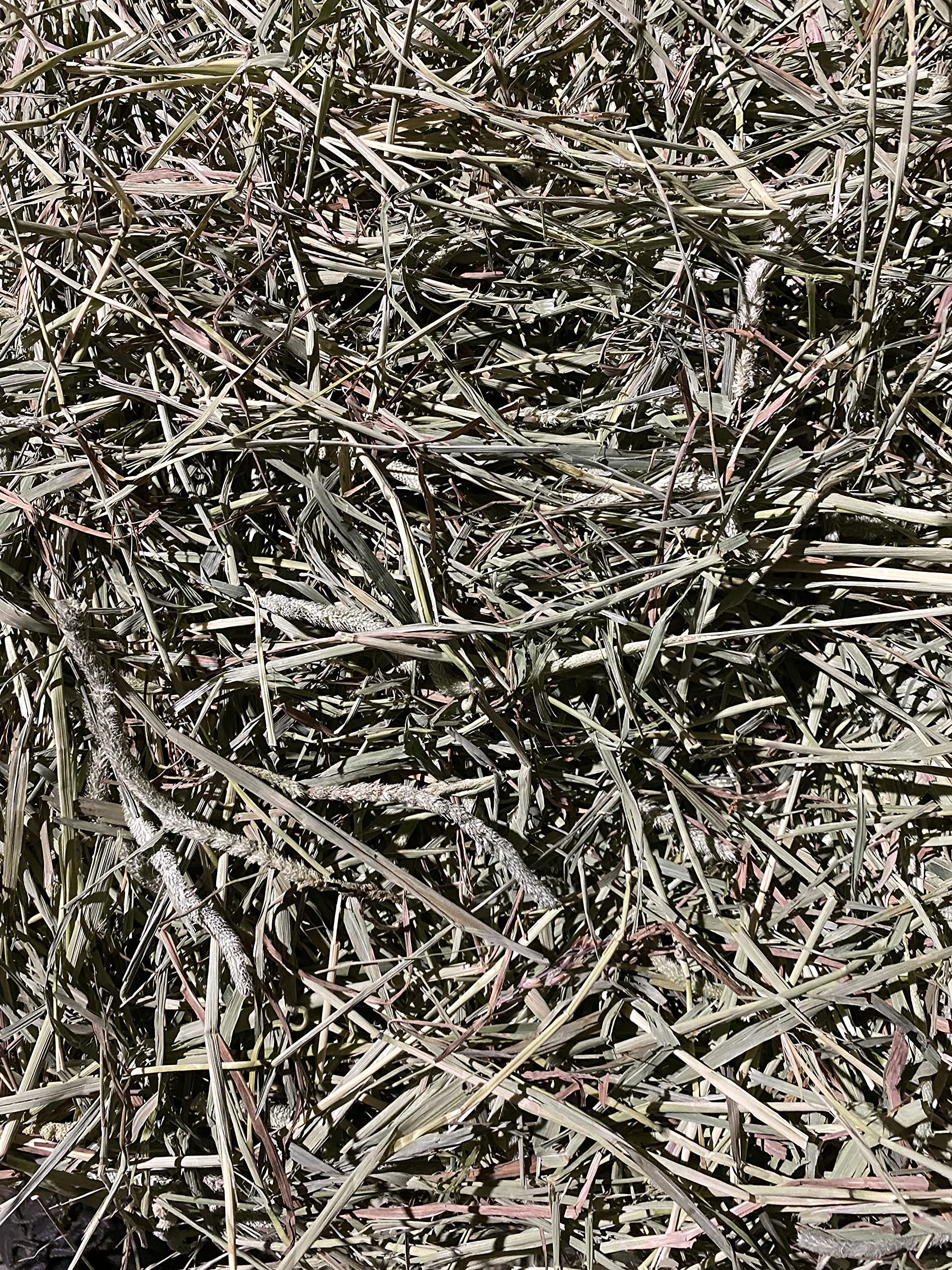 FPS Fox Peak Timothy Hay Rabbits, Guinea Pigs, Chinchilla Food (10+ lb.) - image 2