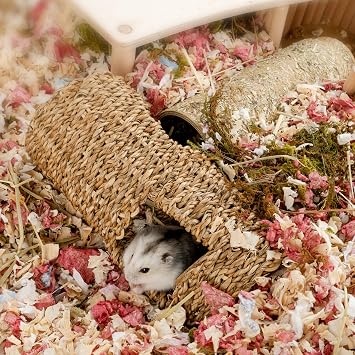 Niteangel Creative & Composable Hamster Tunnel: Edible Seagrass & DIY Tube