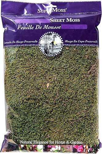 Lámina de musgo preservado SuperMoss, fresco, verde y húmedo